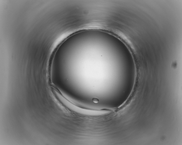 X0000090501469200707272351