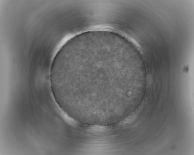 X0000090501470200707272351