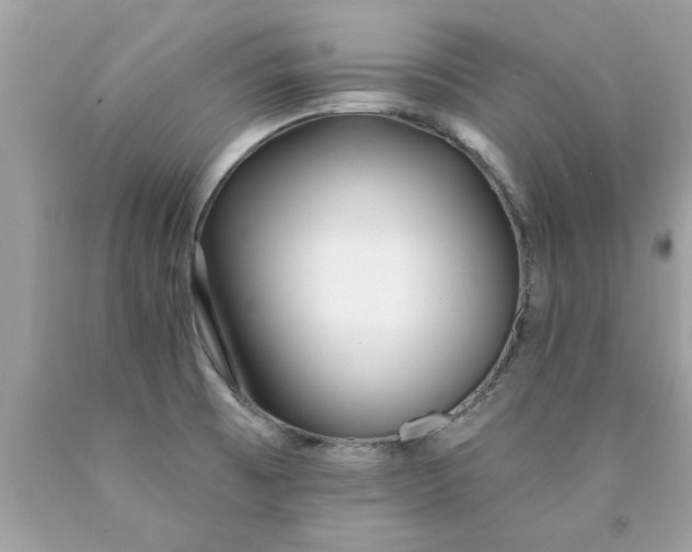 X0000090501473200707272351