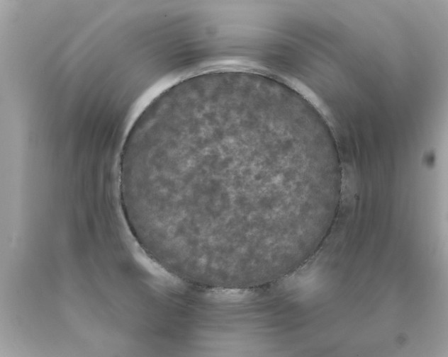 X0000090501474200707272351