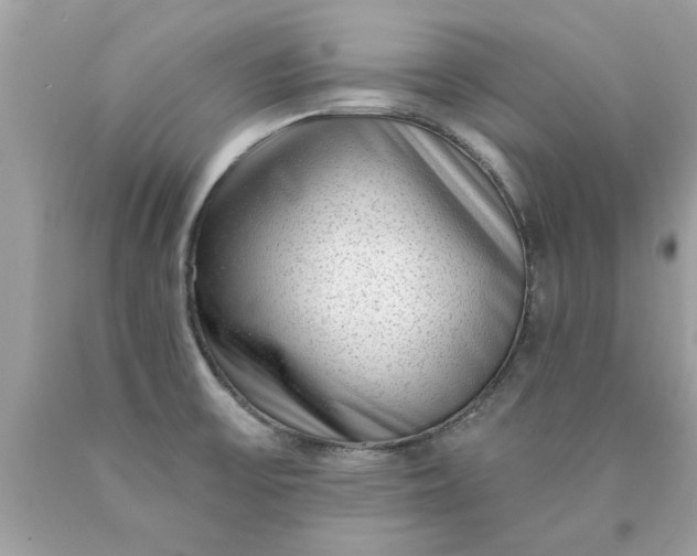 X0000090501475200707272351