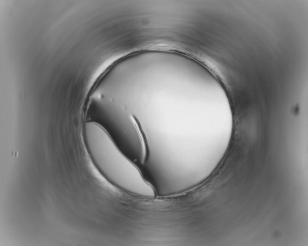 X0000090501476200707272351