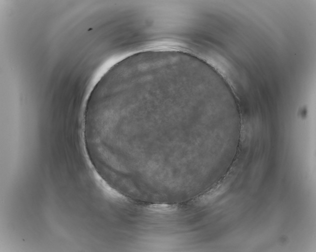 X0000090501478200707272351