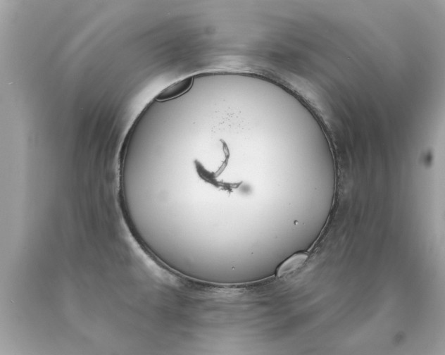 X0000090501479200707272351