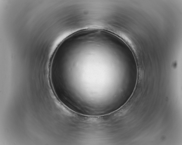 X0000090501480200707272351