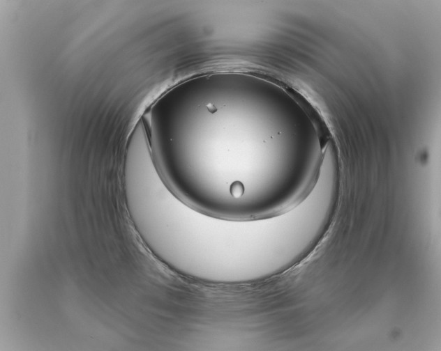 X0000090501481200707272351