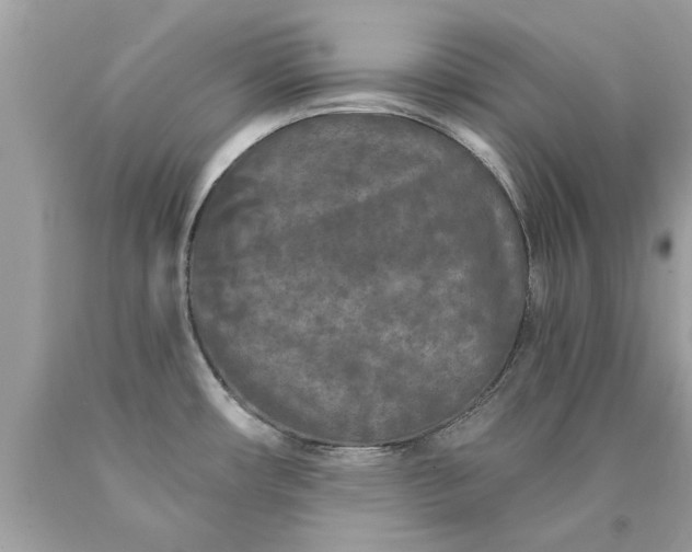 X0000090501482200707272351