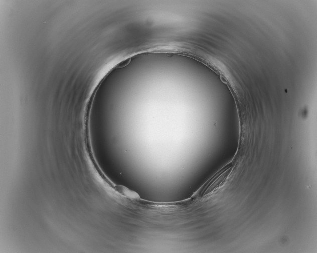 X0000090501483200707272351