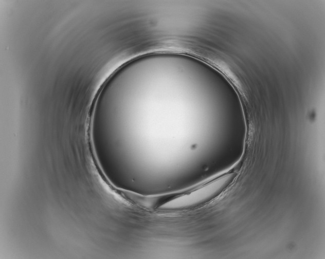 X0000090501484200707272351