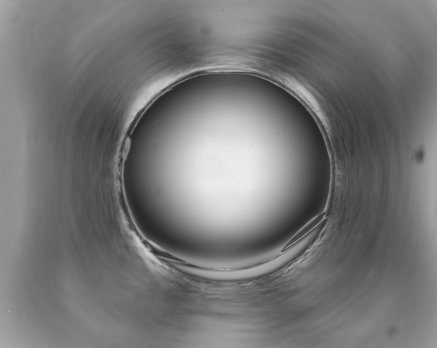 X0000090501485200707272351