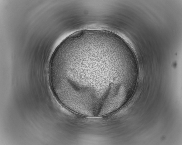 X0000090501486200707272351