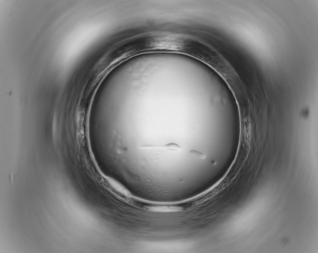 X0000090501487200707272351