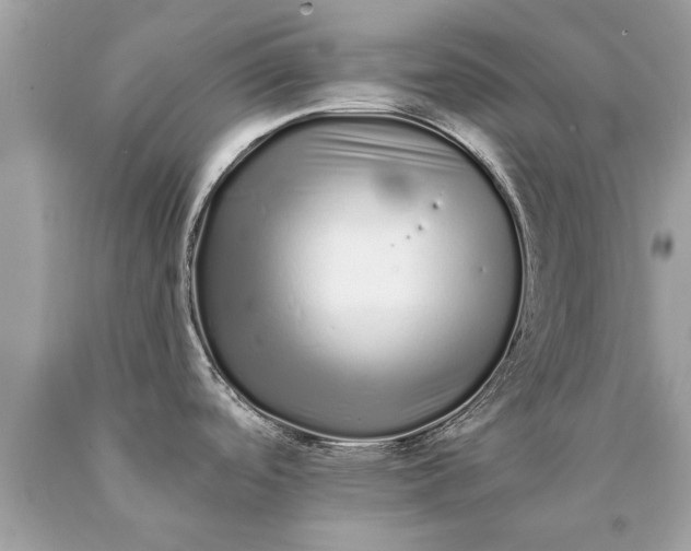 X0000090501488200707272351