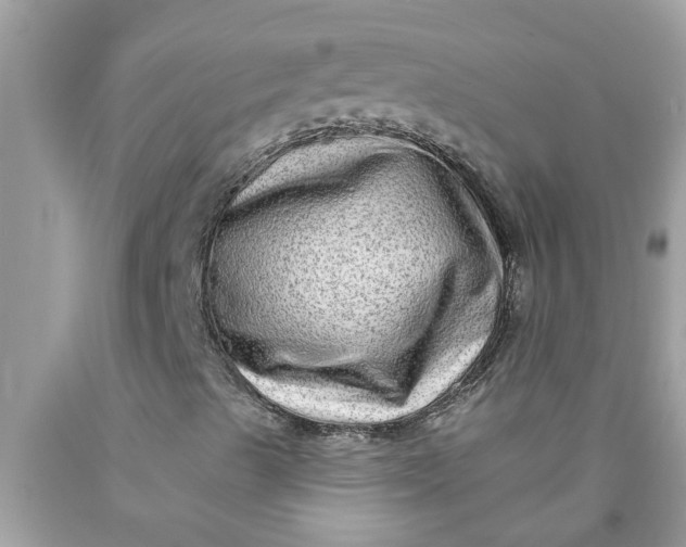 X0000090501489200707272350