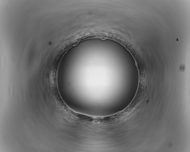 X0000090501490200707272350