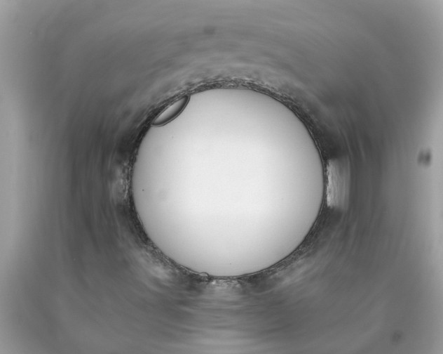 X0000090501491200707272350