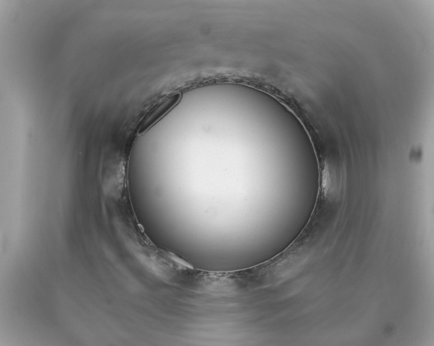 X0000090501492200707272350