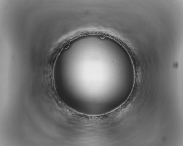 X0000090501494200707272350