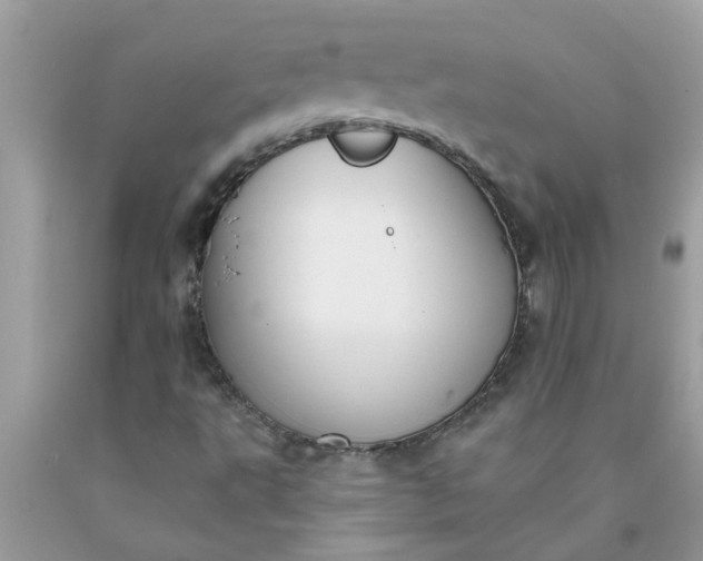 X0000090501495200707272350