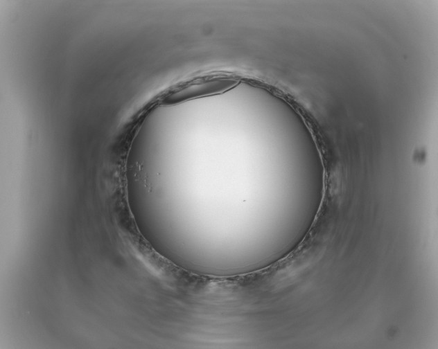 X0000090501496200707272350