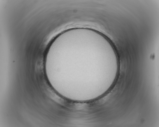 X0000090501498200707272350