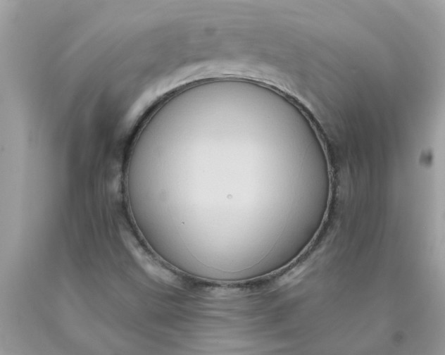 X0000090501499200707272350