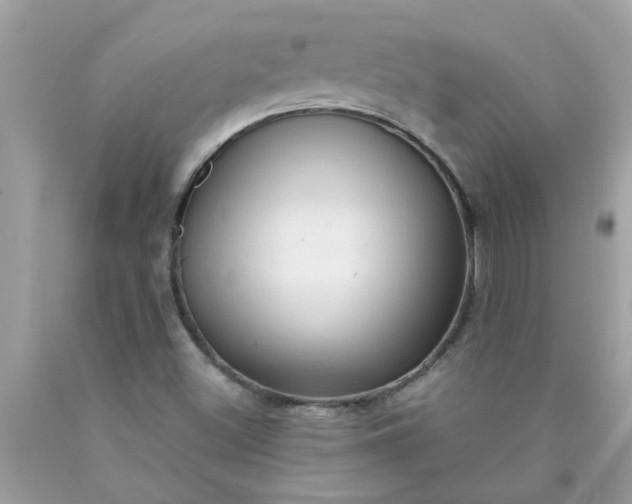 X0000090501500200707272350