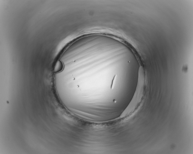 X0000090501501200707272350