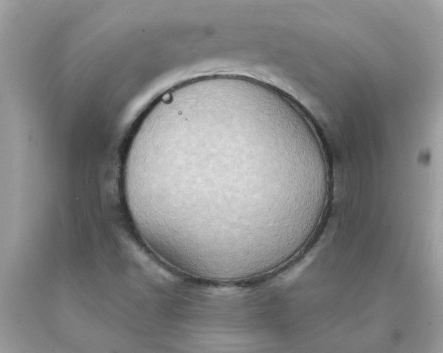 X0000090501502200707272350