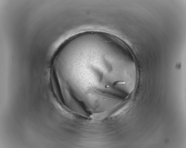 X0000090501503200707272350