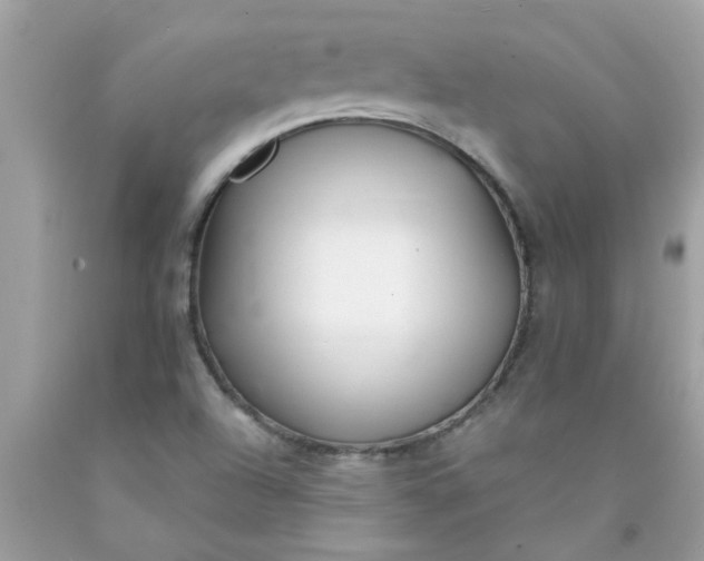 X0000090501504200707272351