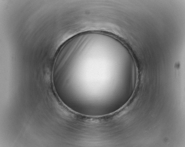 X0000090501505200707272351