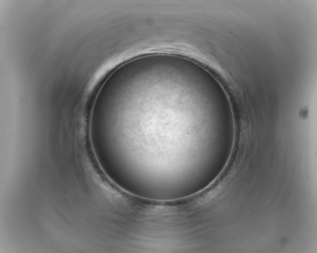 X0000090501506200707272351