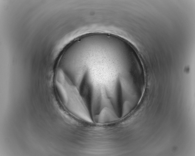 X0000090501507200707272351