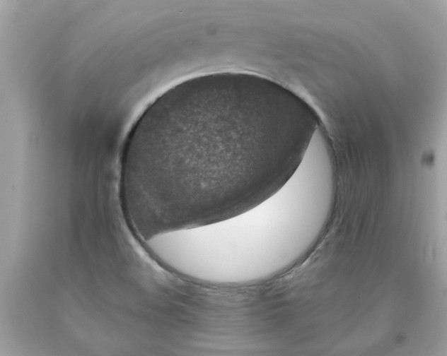 X0000090501508200707272351