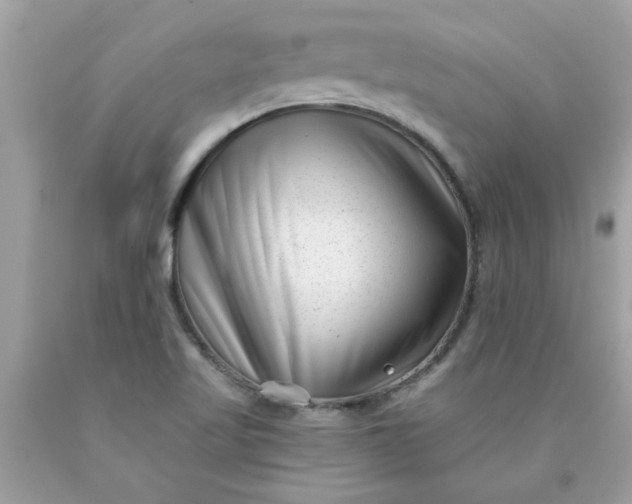 X0000090501509200707272351