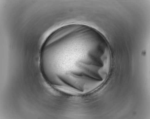 X0000090501511200707272351