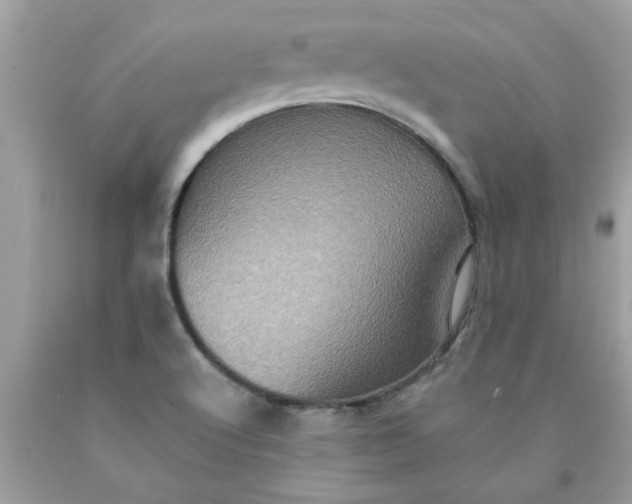 X0000090501512200707272351