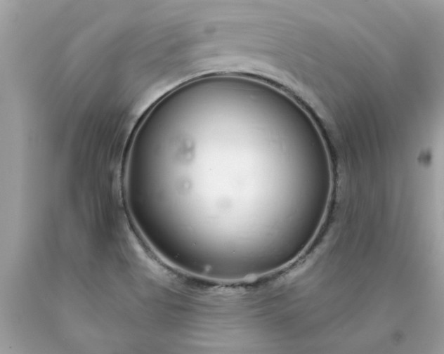 X0000090501513200707272351