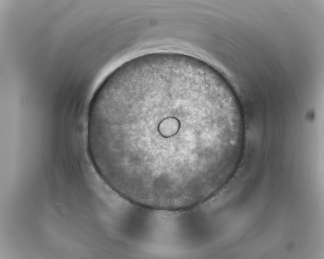 X0000090501514200707272351