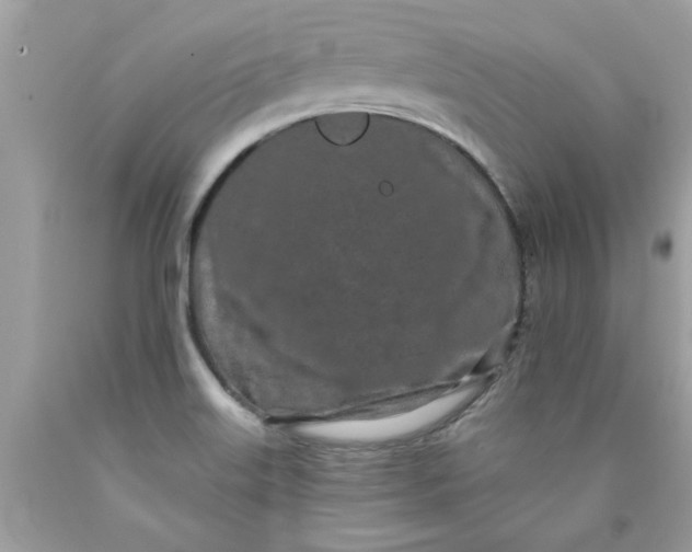 X0000090501515200707272351