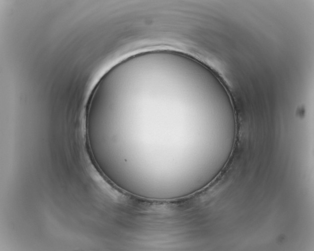 X0000090501516200707272351