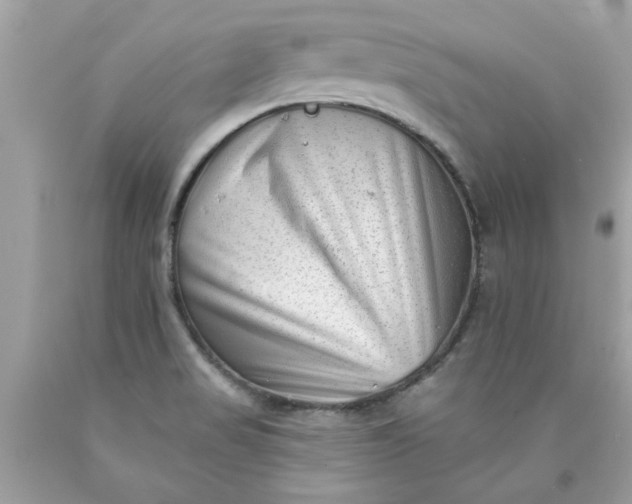 X0000090501517200707272351