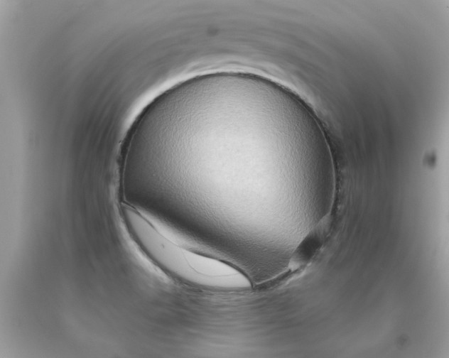 X0000090501518200707272351