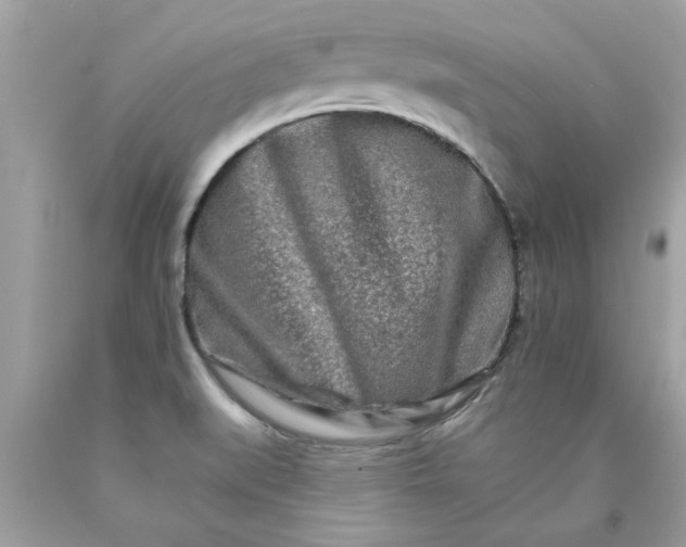 X0000090501519200707272351