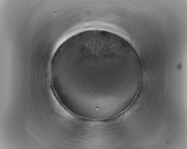 X0000090501522200707272351