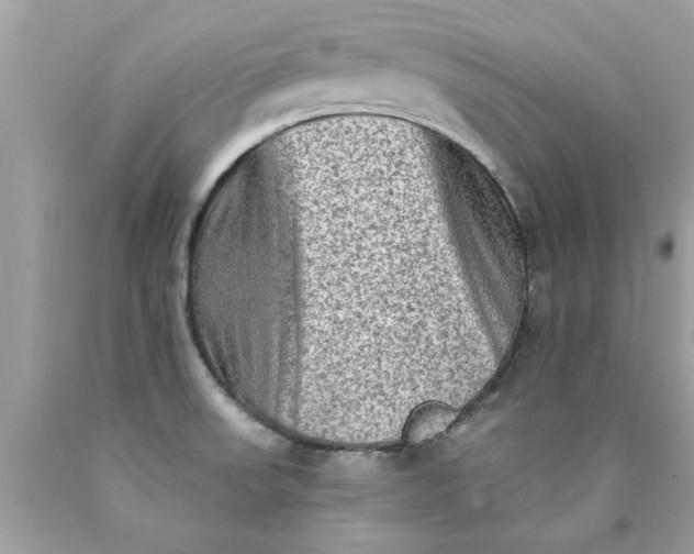 X0000090501523200707272351