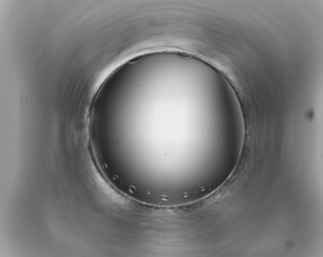 X0000090501524200707272351