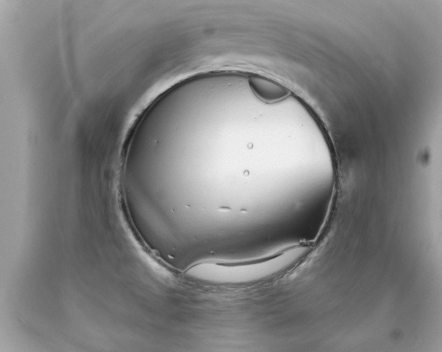 X0000090501525200707272351