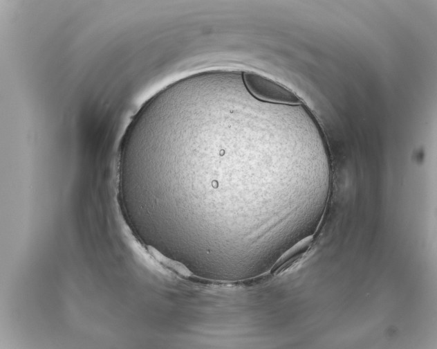 X0000090501526200707272351